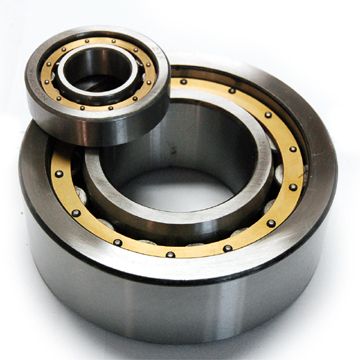 N1014-K-M1-SP bearing 70x110x20mm
