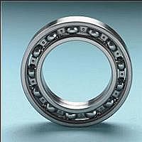 6010-2RS bearing