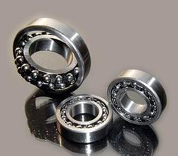 24036E bearing