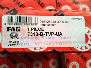 FAG 7313-B-TVP-UA Bearings