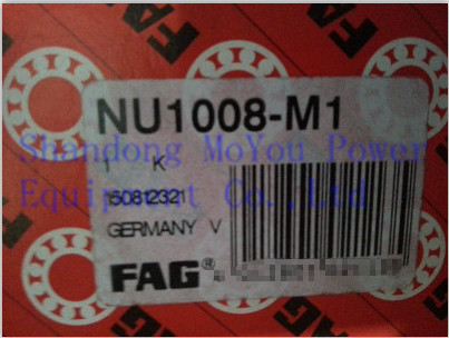 FAG NU1008-M1 Bearings