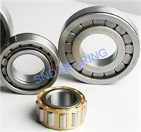 NJ2319EM/P6 bearing 95x200x67mm