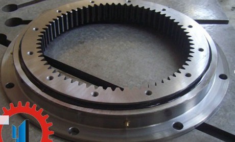 232.20.544 light type slewing ring with inner gear