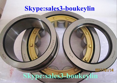 NFP306 Cylindrical Roller Bearing 30x72x19mm