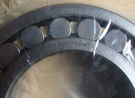 NKI 50/25 bearing