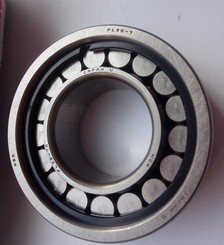 PL 25-7-A-CG38 bearing 25×50×18mm
