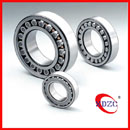 Cylindrical Roller Bearing NU1007
