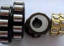 TRANS61006 Overall Eccentric Bearing For Reduction Gears