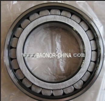 Cylindrical Roller SL18-2215 Bearing