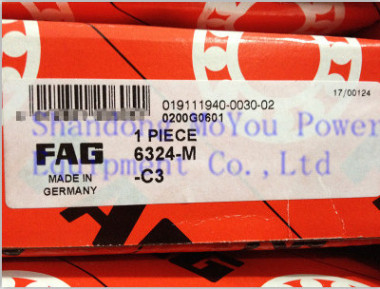 FAG 6324-M-C3 Bearings