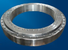 SD.955.25.00.B bearing 953x757x63 mm