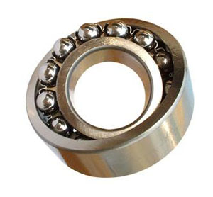 1209 self-aligning ball bearing