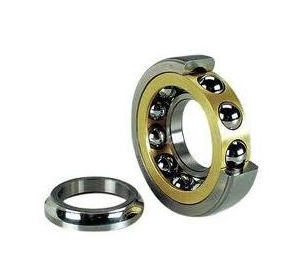 578599 deep groove Ball bearing 290x409.5x60 mm