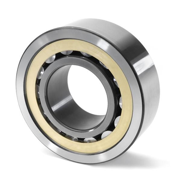 HCN1015-K-PVPA-SP bearing 75x115x20mm