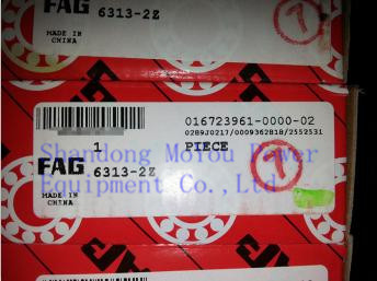 FAG 6313-2Z Bearings