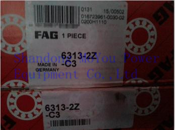 FAG 6313-2Z-C3 Bearings