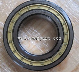 Cylindrical Roller NJ2215ECM Bearing