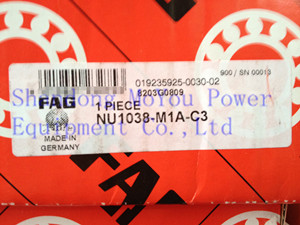 FAG NU1038-M1A-C3 Bearings