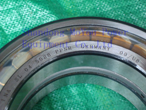 INA SL045028PPNR Bearings