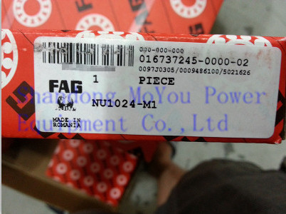 FAG NU1024-M1 Bearings