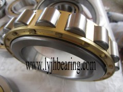 N1036-K-M1-SP bearing 180x280x46mm