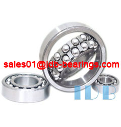1304 Self-Aligning Ball Bearings 20X52X15MM