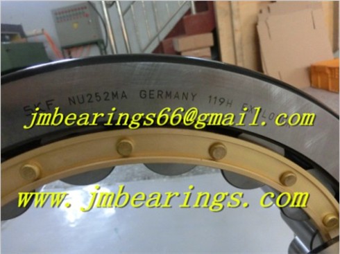 NJ204 Cylindrical Roller Bearing 20X47X14MM