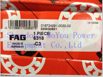 FAG 6318-C3 Bearings