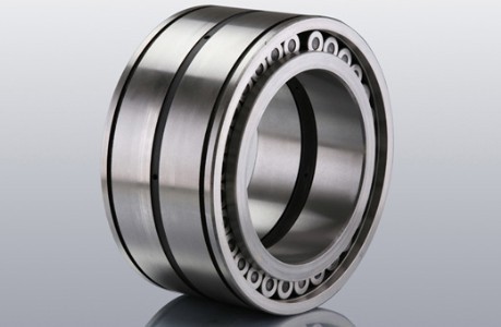 SL045020 full complement cylindrical roller bearing