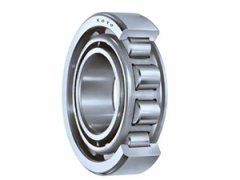 SL183011 Cylindrical Roller bearing 55*90*26mm