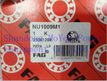 FAG NU1009M1 Bearings
