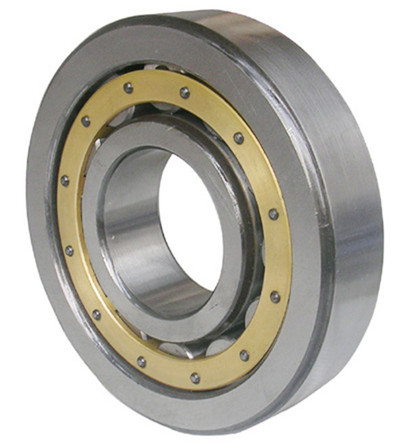 NU407 Cylindrical Roller Bearing 35×100×25 mm