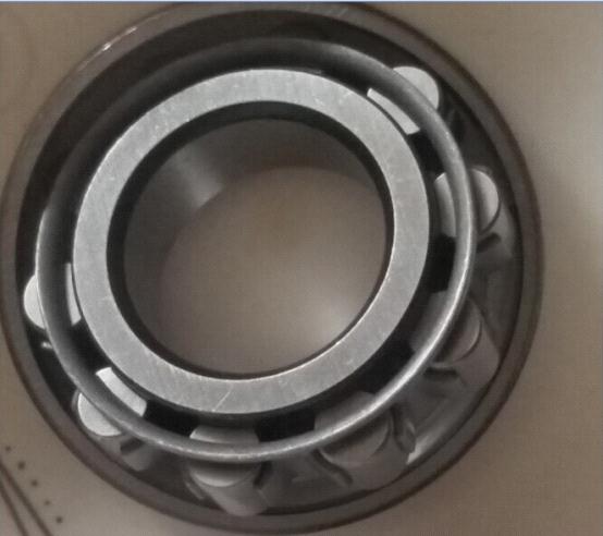 Cylindrical roller bearings N205-E-XL-TVP2 25X52X15MM