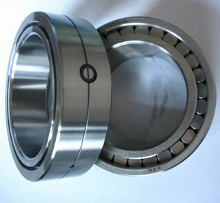 SL014980 Cylindrical Roller Bearing