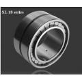 SL183080 Cylindrical Roller Bearing