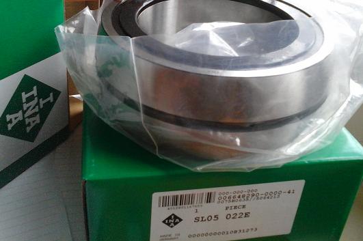 SL05022E full complement cylindrical roller bearing
