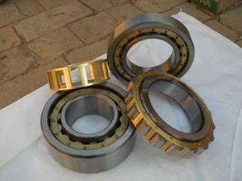 NU2204E bearing 20x47x18mm