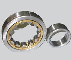 NU205 Cylindrical roller bearings chrome steel