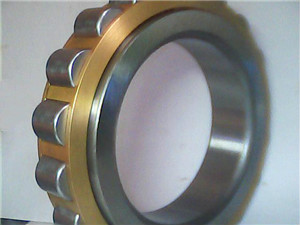 RN307M Cylindrical Roller Bearing 35×68.2×21 mm