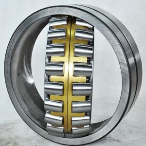 SSNU319 bearing