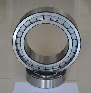 SL024876 Cylindrical Roller Bearing Chrome Steel