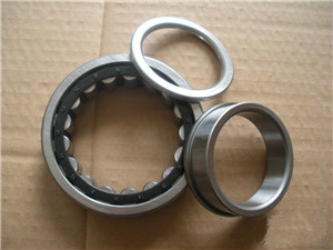 NJ2224M Cylindrical Roller Bearing 120×215×58 mm