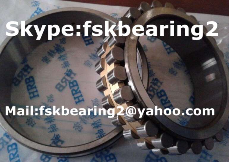 Double Row Cylindrical Roller Bearing NN3024MBKRCC1P4
