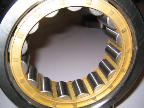 SL02 4892 Cylindrical Roller Bearing 460x580x118mm