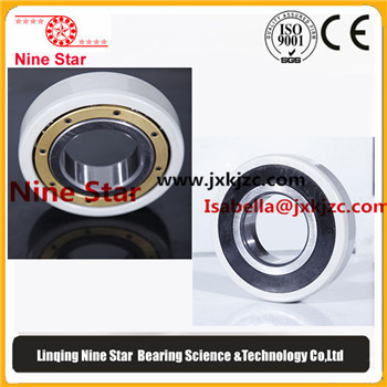 6016m Insulated Bearing 80x125x22mm