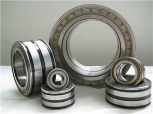 NNCF5036V Double Row Full Complement Cylindrical Roller Bearing