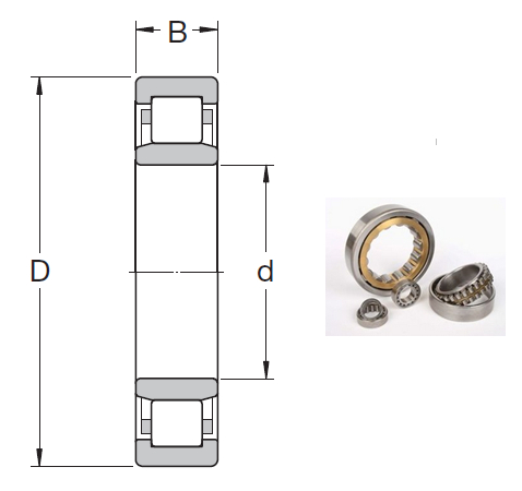 NUP 2306 ECP Cylindrical Roller Bearings 30*72*27mm