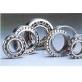 16004-ZZ 16004-2RS ball bearing