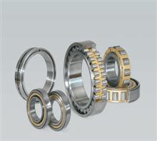 NU310EM bearing 50X110X27mm