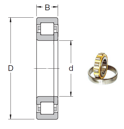 NUP 2205 ECP Cylindrical Roller Bearings 25*52*18mm